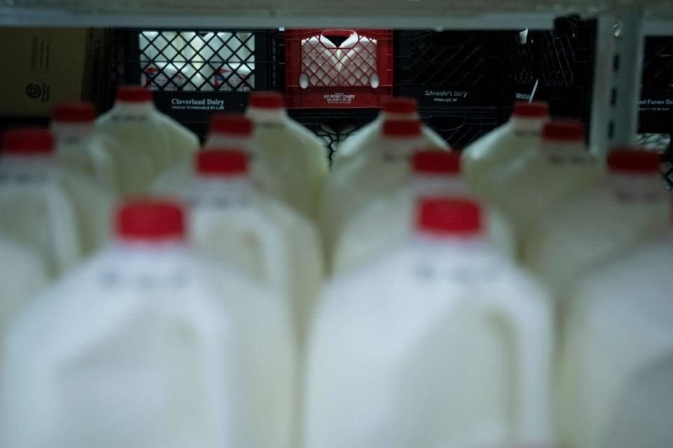 Entre alza de precios de insumos y sequías, la producción de leche en México podría disminuir hasta 5% en próximos meses.