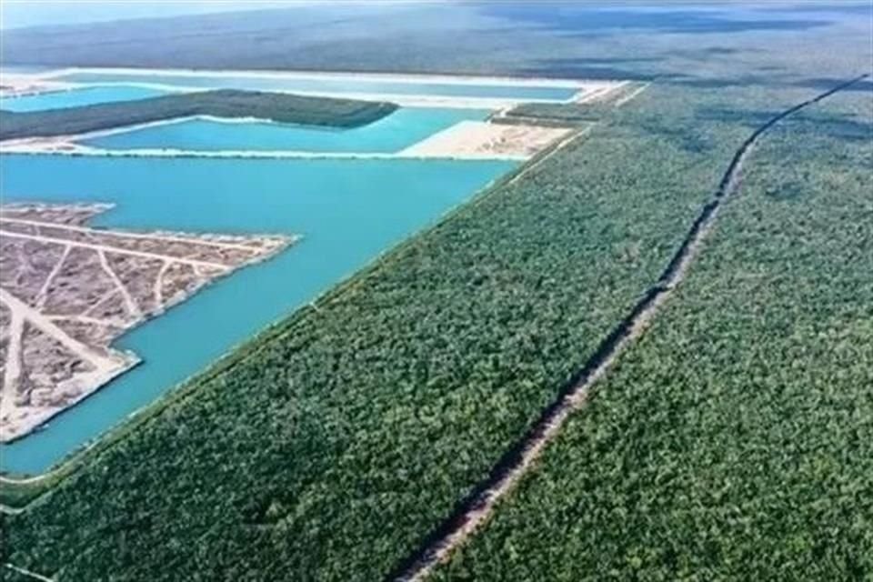 El Presidente López Obrador señaló que la minera estadounidense ha afectado cenotes, ríos submarinos e incluso que actúo sin los permisos necesarios.