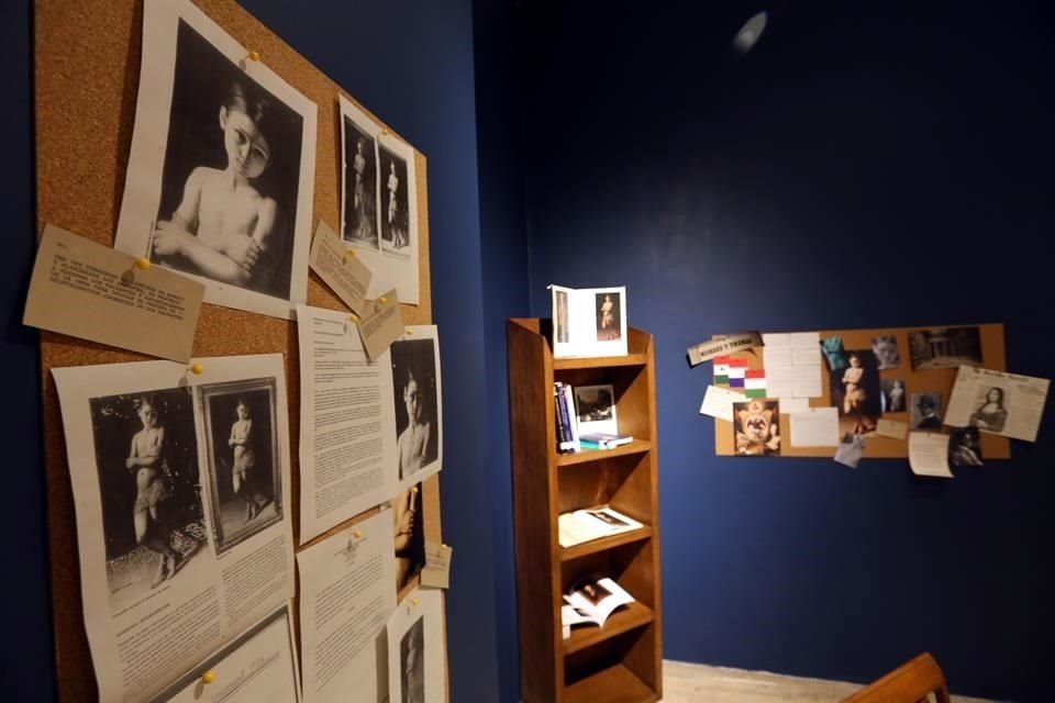 Para este proyecto, la obra atribuida al francés Jean-Auguste-Dominique Ingres fue sometida a diversos estudios, no para confirmar su autenticidad, sino para desvelar que en la historia del arte no hay verdades absolutas.