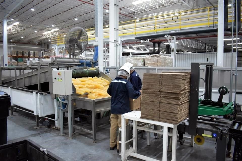 Henkel abrió una planta en Finsa Guadalupe, donde inició con la producción de adhesivos para diversas industrias.