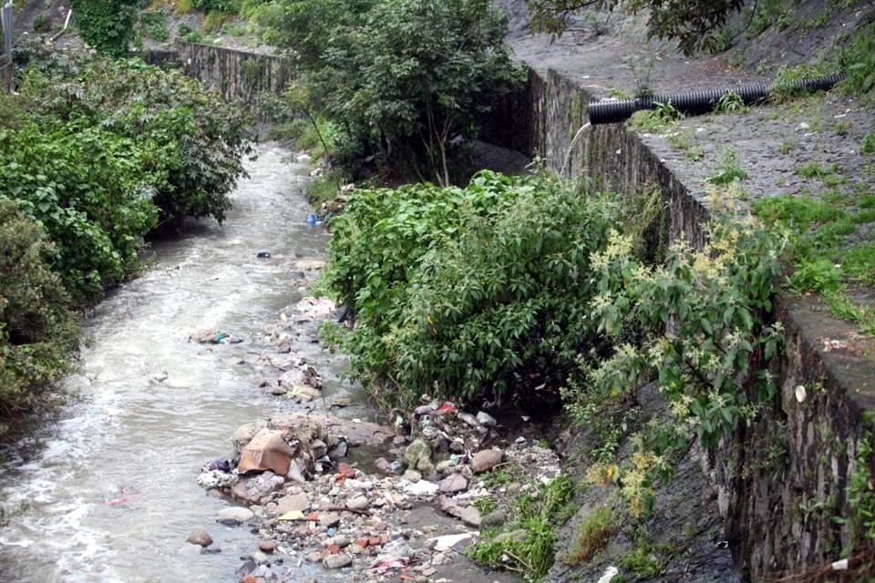 Secretaría del Medio Ambiente requirió un plan para sanar el Rió Tacubaya con humedales artificiales a través de una licitación pública.