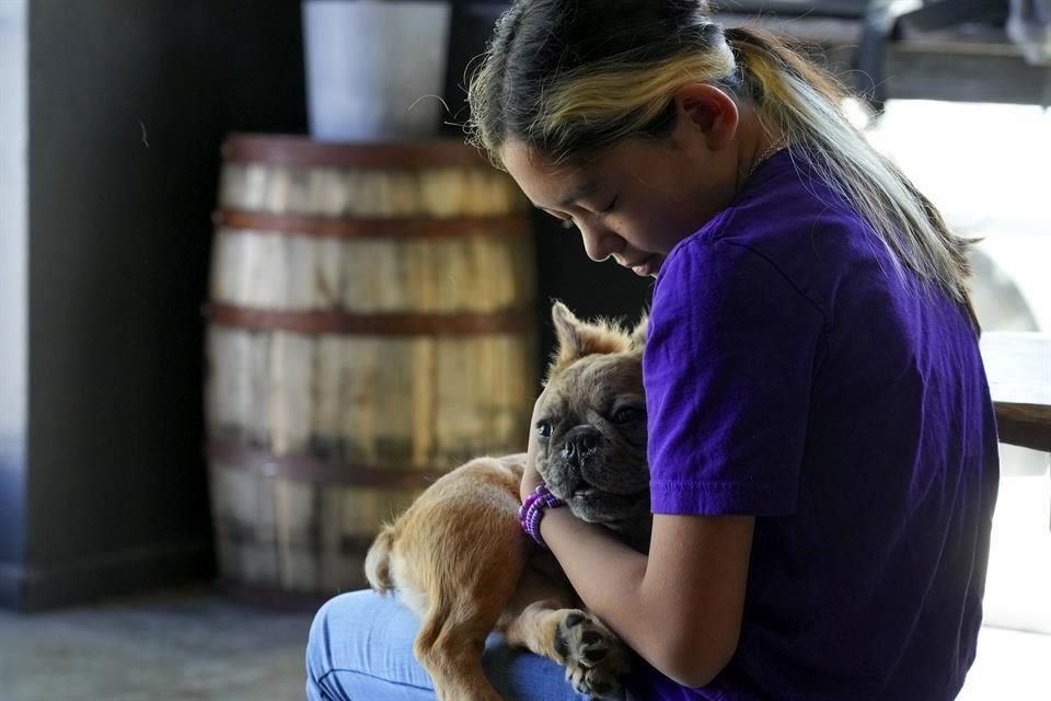 Calista Del Rosario abraza a su bulldog francés Cashew en Elk Grove, California. La popular raza se ha vuelto muy cara en EU, y algunos dueños han comenzado a llevar consigo armas por protección.