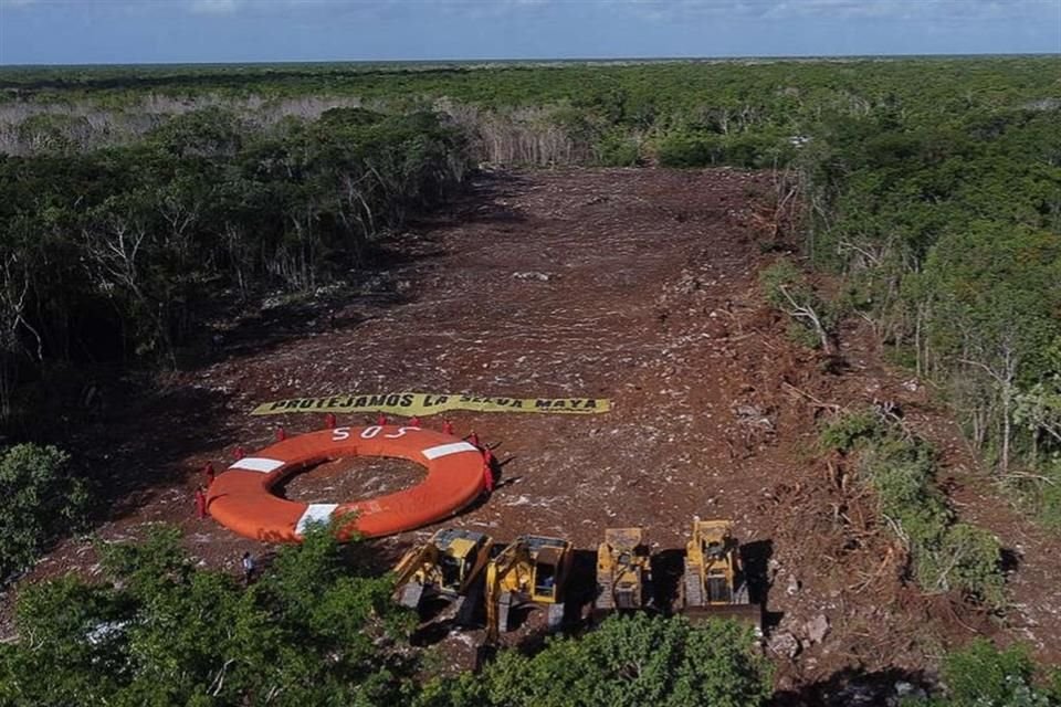 Greenpeace México se dio cita desde muy temprano este lunes para colocar un salvavidas gigante en el Tramo 5 del Tren Maya.