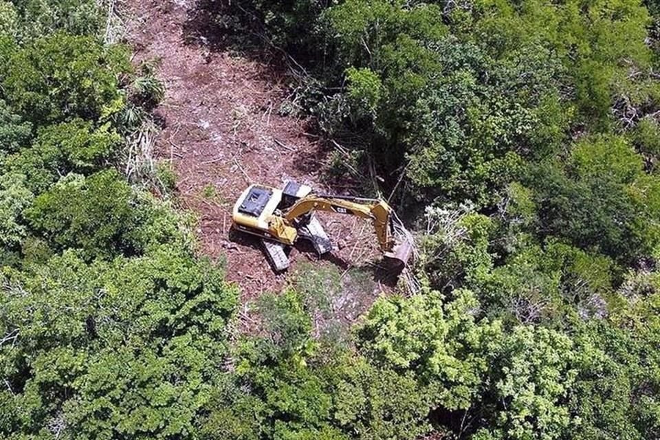 Una retroexcavadora realiza trabajos de construcción en la zona del Tramo 5 del Tren Maya.