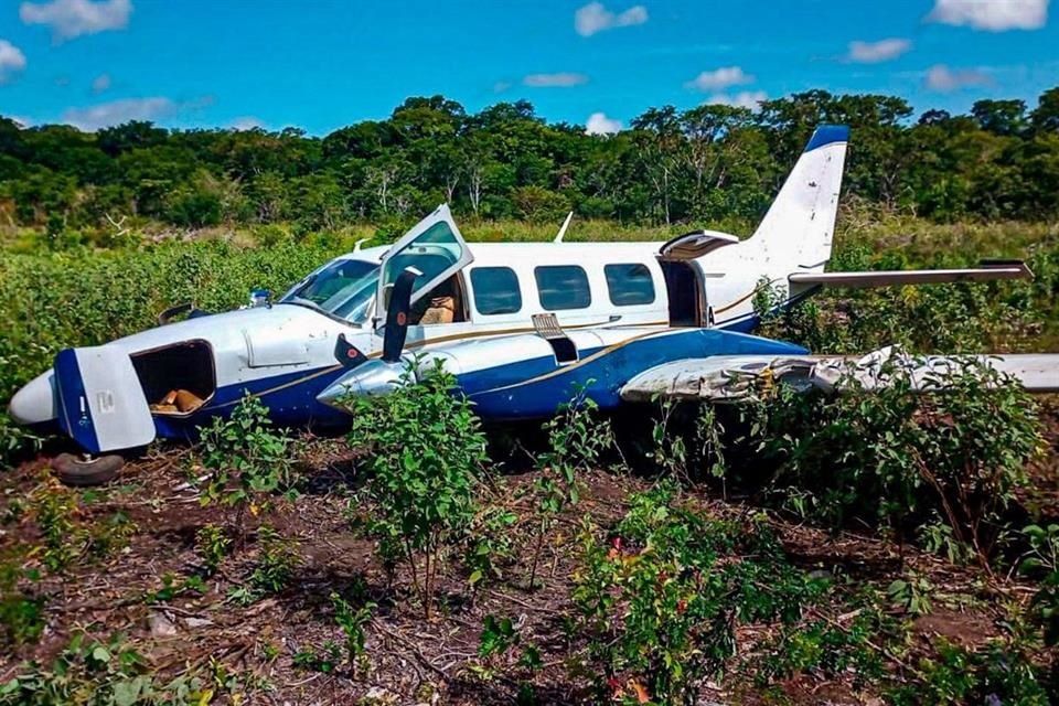 La Sedena y la Fuerza Aérea aseguraron una avioneta con 460 kilogramos de posible cocaína en el estado de Campeche.