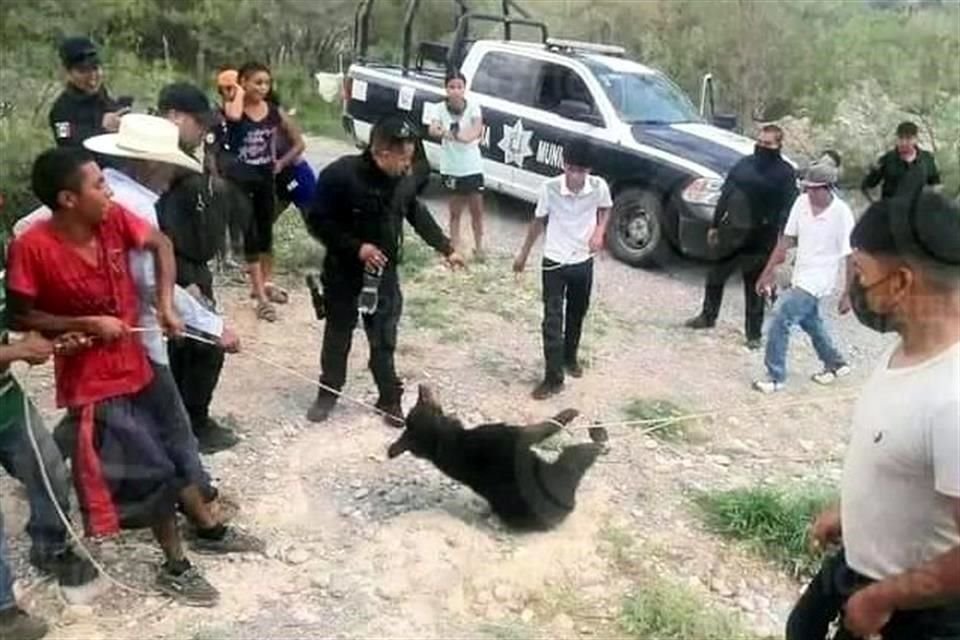 Policías de Castaños, Coahuila, observaron las acciones de los habitantes sin intervenir.
