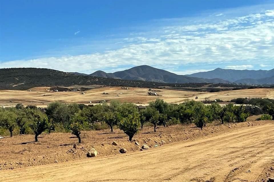 Inconformes hicieron un llamado a los tres niveles de Gobierno para que regulen el crecimiento urbano en el Valle de Guadalupe.