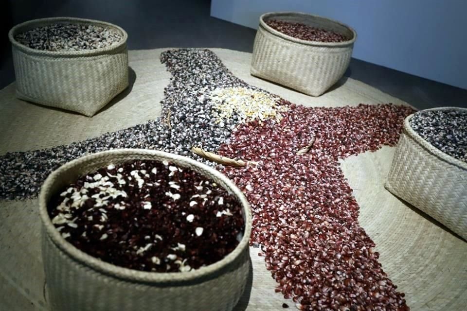 Santiago Robles exhibe la muestra 'Ya nos cay el chahuixtle!' en el Museo Nacional de la Revolucin, con obras realizadas con granos.