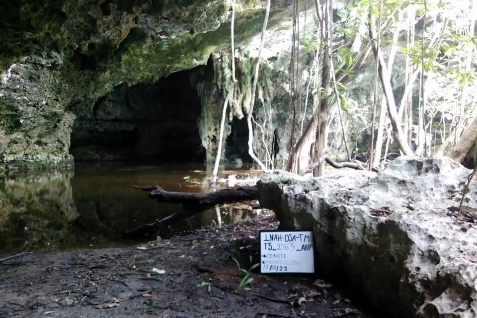 Entrada a la Cueva Ocho Balas, que junto con la Cueva de las Manitas y los sitios Garra de Jaguar y Paamul se propone integren un circuito eco-arqueológico.