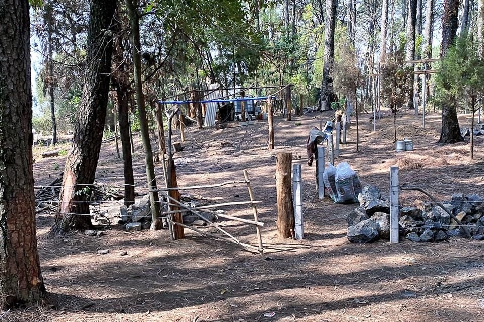Grupos del crimen organizado que operan en Cuernavaca invaden zonas boscosas del Parque Nacional de El Tepozteco, acusaron funcionarios.