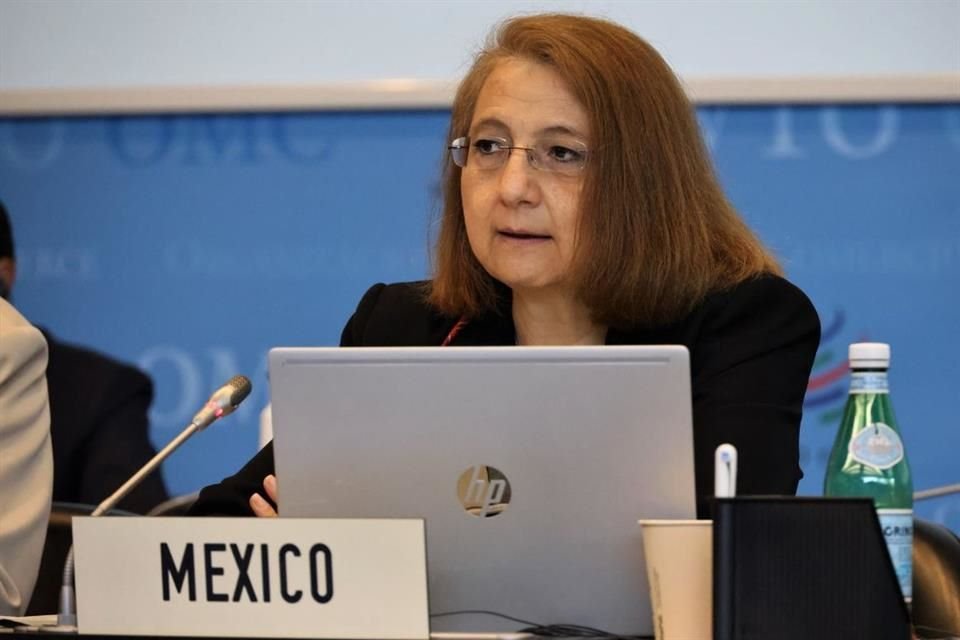 Tras llegada de Buenrostro a SE, Luz María de la Mora (foto), subsecretaria de Comercio Exterior y negociadora del T-MEC, fue obligada a renunciar.