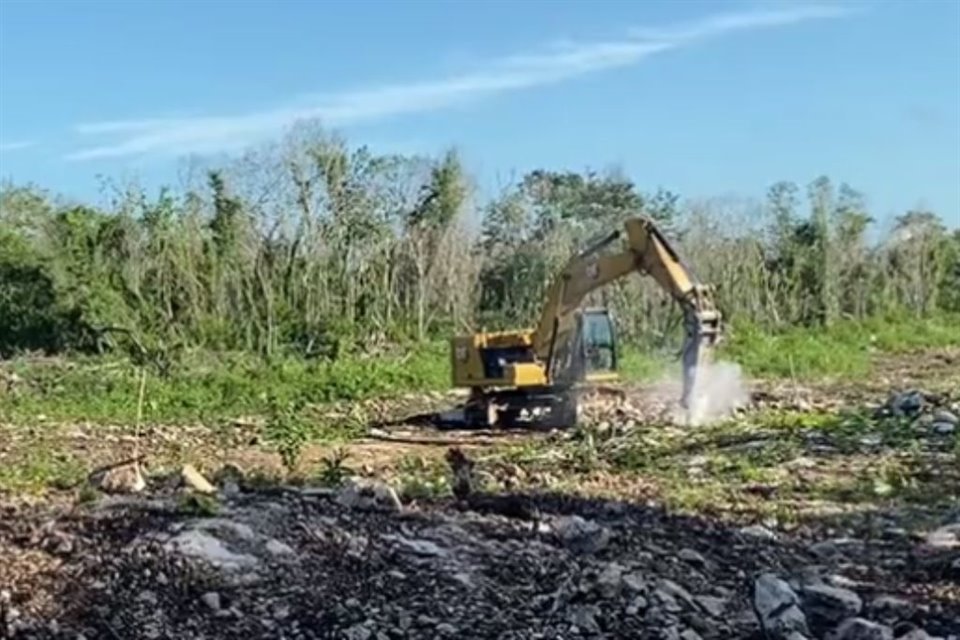 Juez habría revocado la suspensión que impedía seguir con tala y desmonte de selva para el Tramo 5 del Tren Maya, que va de Cancún a Tulum.