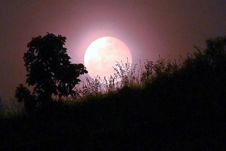 El eclipse fue visible en casi todo el continente de América, así como en Asia, Australia y en la parte norte y este de Europa. Esta fotografía fue tomada en Bangalore, India.
