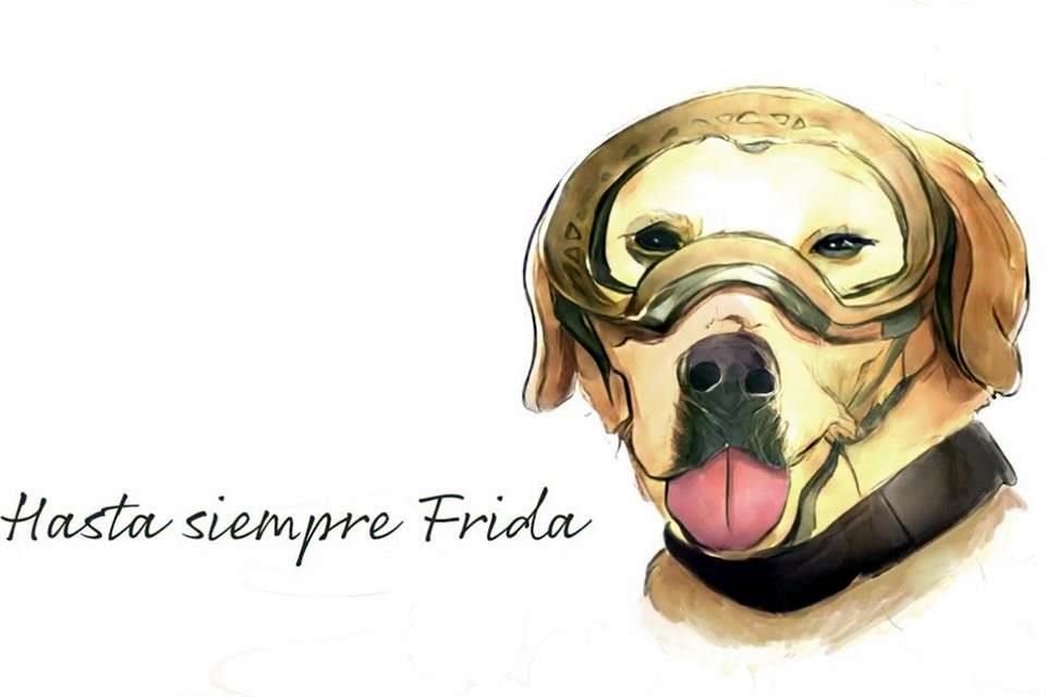 Frida fue despedida por la Semar este 24 de noviembre, a una semana de su fallecimiento.