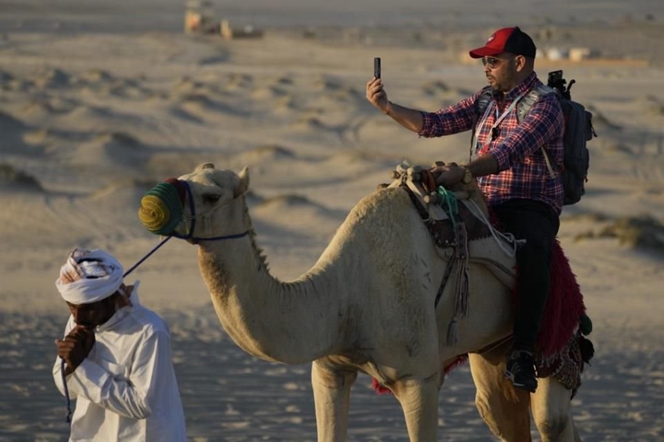Camellos realizan hasta 40 paseos al día sin descanso en Qatar para atender el incremento de turistas por la Copa Mundial de Futbol.