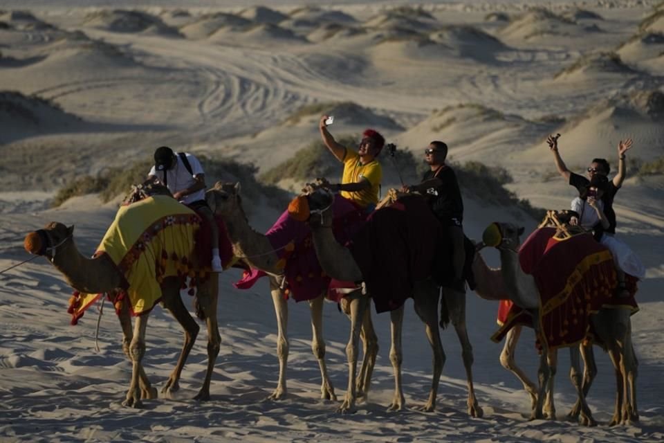 Turistas paseando sobre camellos en Qatar.