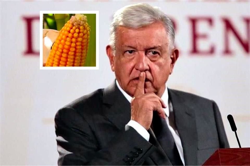 AMLO señaló que no cederán ante EU en la disputa sobre el maíz transgénico por lo que pueden recurrir a un panel de revisión bajo T-MEC.