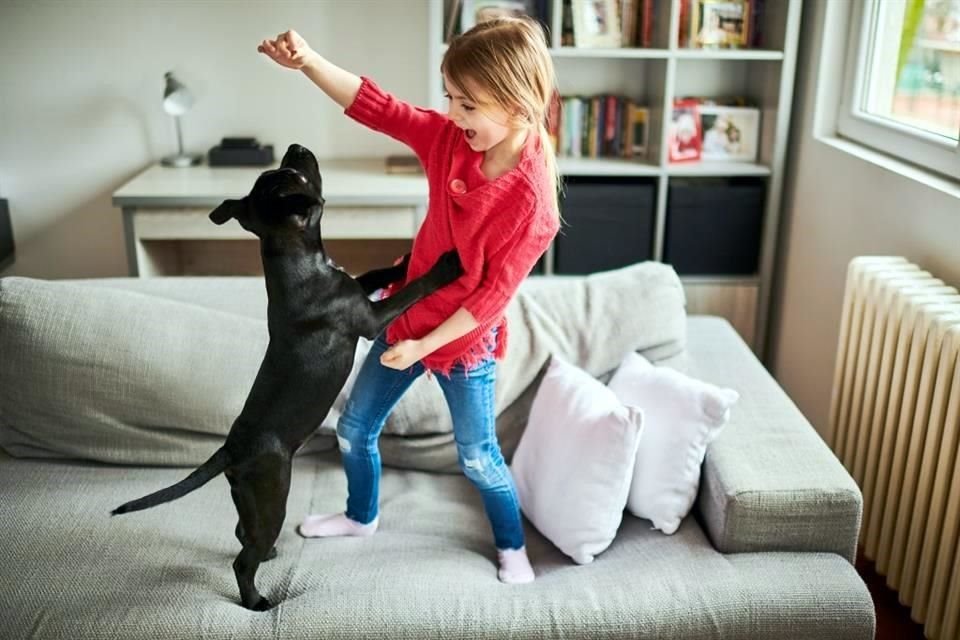 Dale su espacio a tu perro o gato adaptando una habitación o zona de tu vivienda.