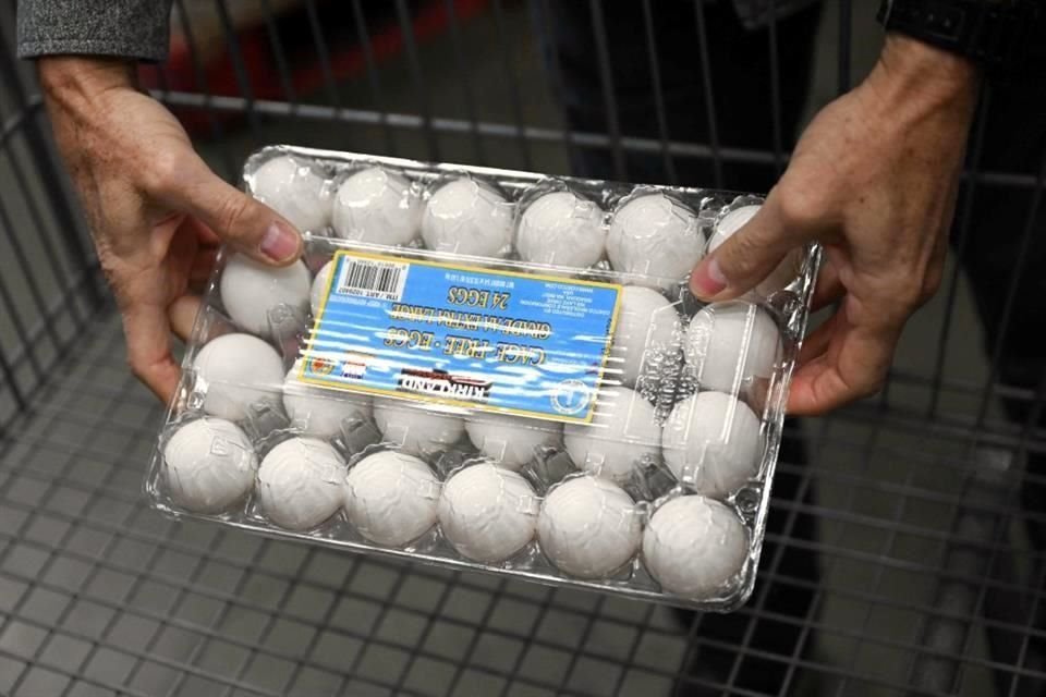 El alto costo del huevo en Estados Unidos ha llevado a miles de personas a comprar gallinas ponedoras.