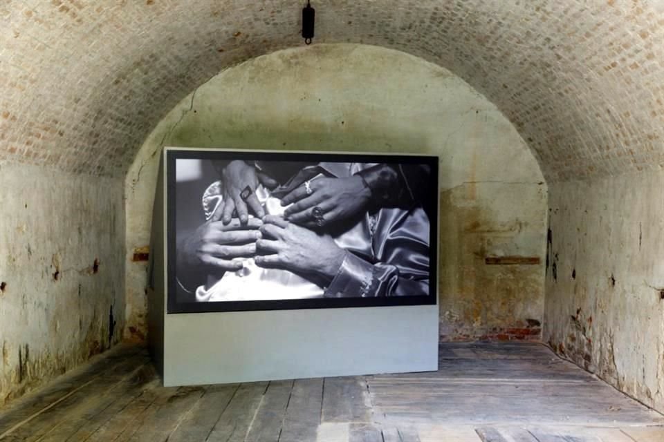 El artista brasileño Luiz Roque presentará una videoinstalación y un videoperformance en el jardín del Complejo Cultural Los Pinos.