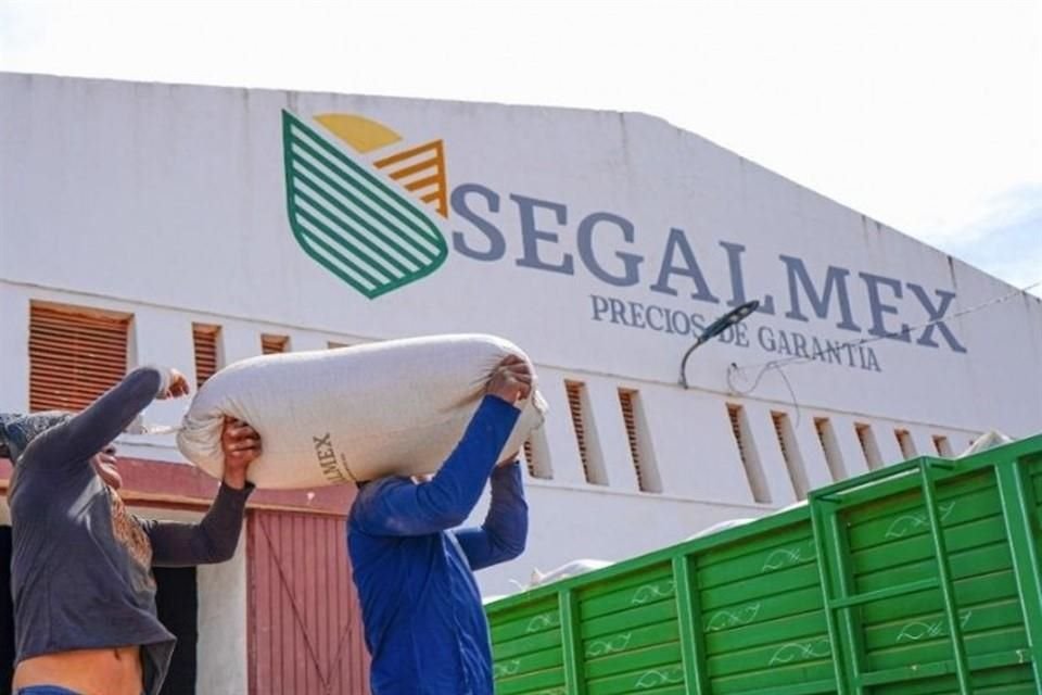 Segalmex pag, en este sexenio, ms de 142 mdp por presunto embarque de azcar a empresa que venda hielo; FGR acusa desvo de dinero.