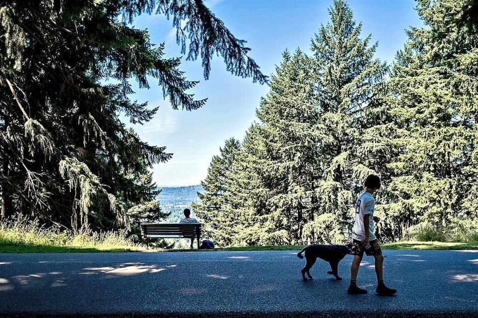 Portland, Oregón es considerado uno de los destinos más dog-friendly.