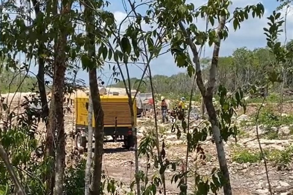 Comunidades y sociedad civil obtuvieron suspensin definitiva para que se paralice tala en terrenos que comprenden los tramos 3, 4, 5 Norte y 6 del Tren Maya.