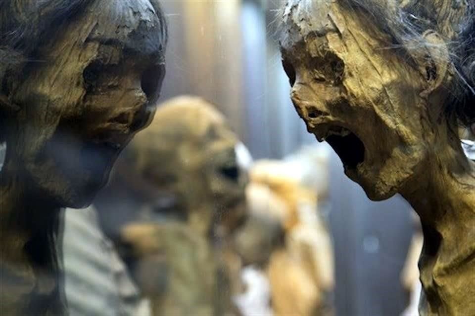 Según especialistas del INAH, el Museo de las Momias de Guanajuato debe regularizarse y atender debidamente a los ejemplares.