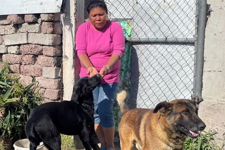 Lucía y sus hijos, la familia de 'Scooby', el perrito que murió tras ser arrojado en aceite, recibieron atención médica para sus otros canes.