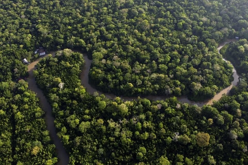 Vista de la selva amazónica con el río Guama y la isla Combu cerca de Belem, Brasil, 6 de agosto de 2023.