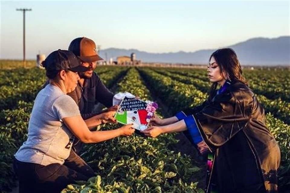 Una estudiante mexicana decidió tomar sus fotos de graduación en los cultivos de California en los que trabajó con sus padres.