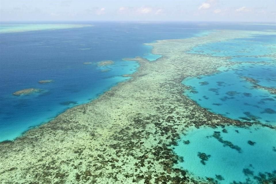 El Gobierno de Australia impugnará la recomendación de Unesco de clasificar a la Gran Barrera de Coral como Patrimonio Mundial en Peligro.