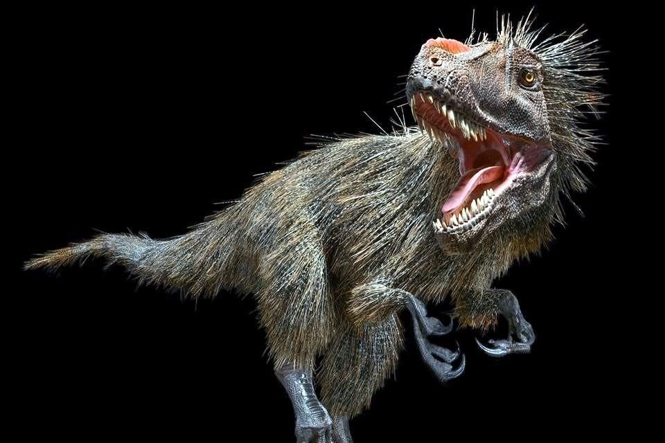 La exposición 'Dinosaurios entre nosotros', que se alista para diciembre, es una colaboración con el Museo Americano de Historia Natural de Nueva York.