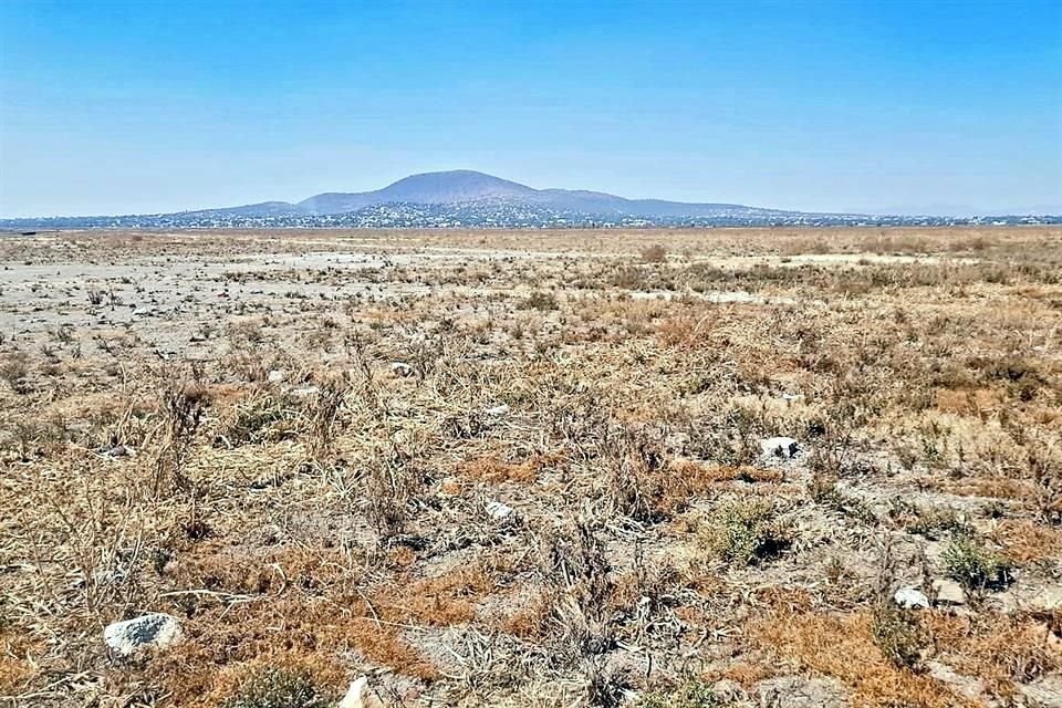 AYER. El agua desapareció por completo. Desde la primera quincena de enero, Zumpango entró a la categoría de sequía severa ante la falta de lluvias.