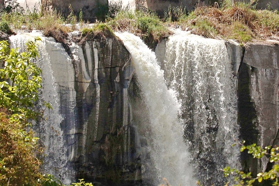 Solamente en El Salto se registraron en 2023 327 muertes relacionadas con la contaminación del Río Santiago.