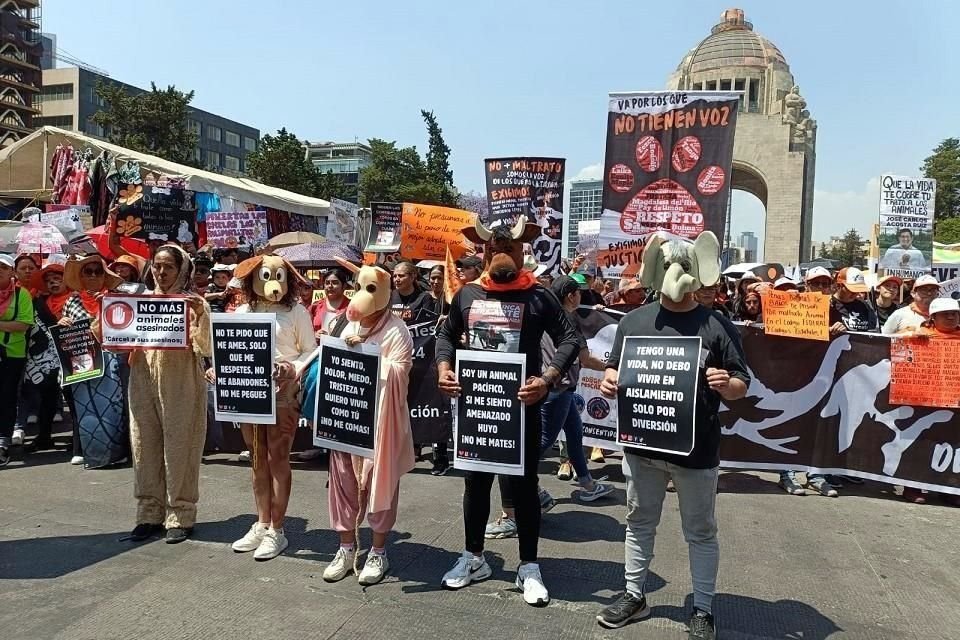 Colectivos y decenas de personas se reunieron en en Monumento a la Revolución para protestas contra la violencia animal.