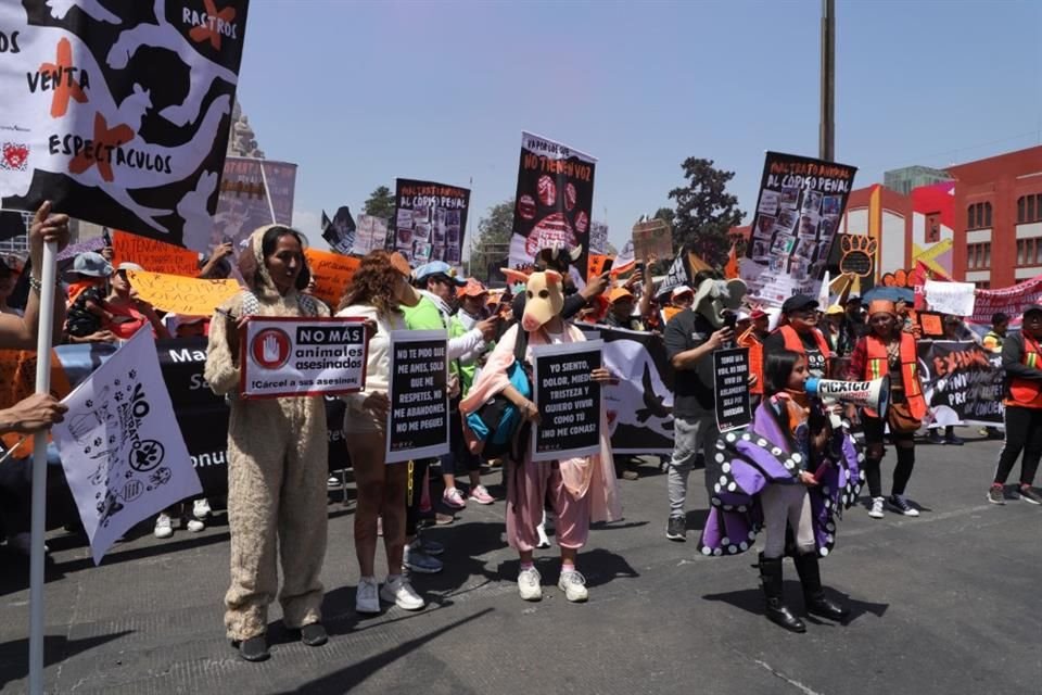 Con diversas consignas como 'Maltrato animal al código penal', colectivos y decenas de personas marcharon contra la violencia animal en dirección al Zócalo.