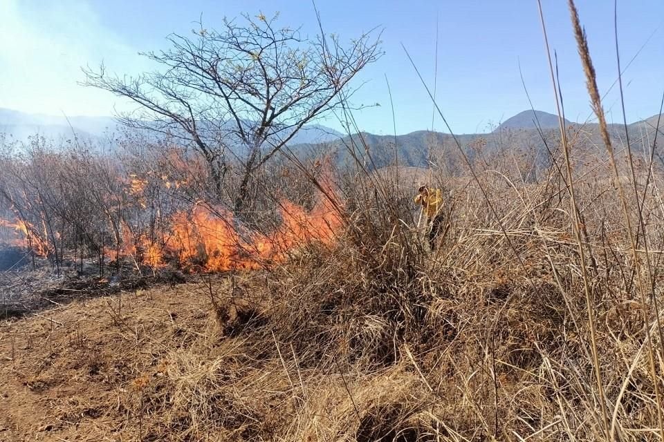 Esta mañana, en conferencia en Palacio Nacional, el Presidente dijo que investigarán si los incendios han sido provocados o por la situación de sequía.