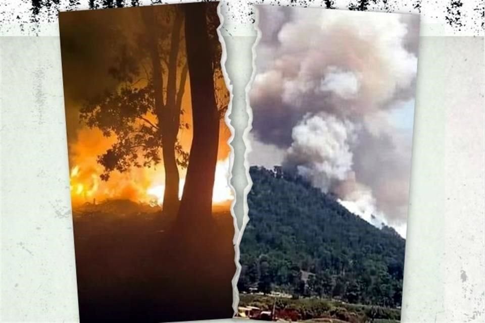 Distintas regiones del País están siendo afectadas por incendios forestales que llevan varios días sin poder ser apagados.