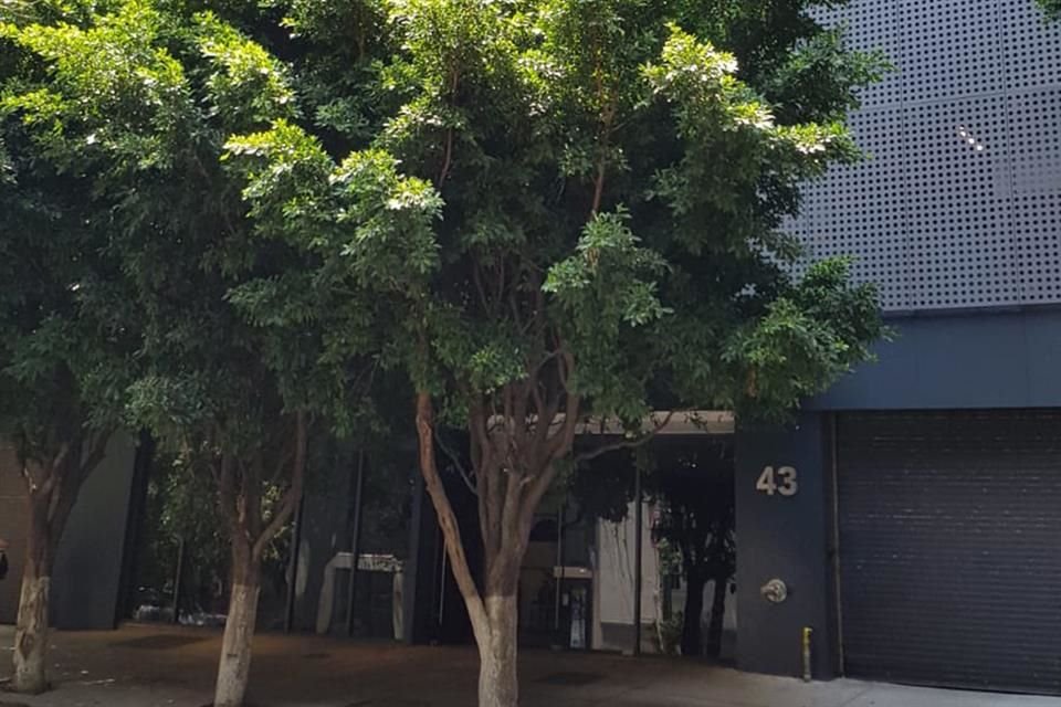 El edificio ubicado en Sinaloa 43, en la Colonia Roma.