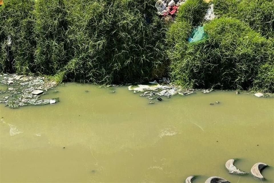 El arroyo El Rosario presenta un severo daño ambiental.