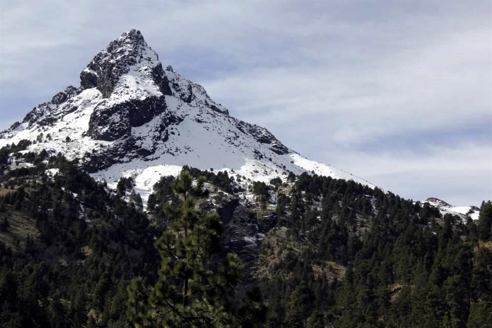 El nevado es uno de los pocos ecosistemas en Jalisco de bosque mesófilo de montaña.