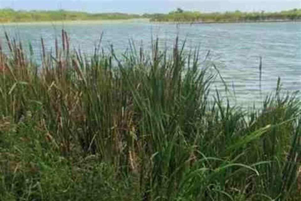 Investigadores detectaron contaminación biológica en la atmósfera de Tula después de la inundación que provocó el desalojó de aguas negras desde la CDMX, el 6 de septiembre de 2021.