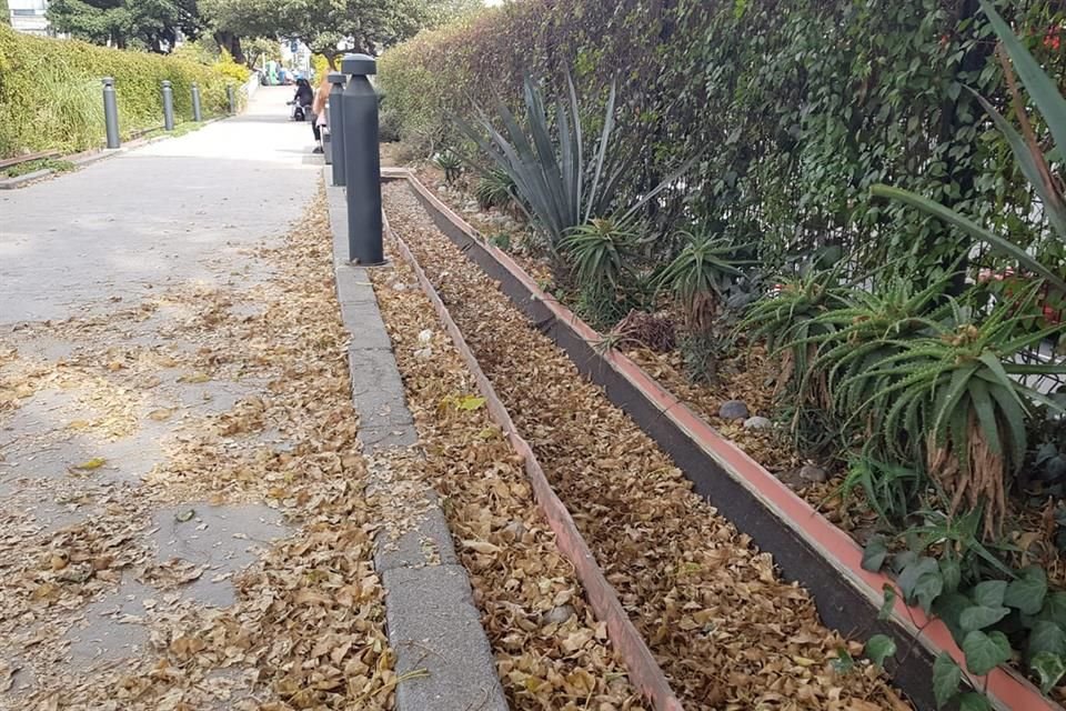 El Ecoducto fue abierto al público en 2017; ahora sus canales lucen secos.