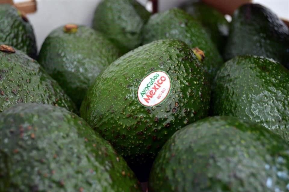 La Comisión del Aguacate de California pidió establecer cuotas a las importaciones de aguacate mexicano durante la temporada de comercialización de California (marzo-septiembre).
