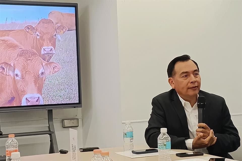 Jesus Brígido Coronel, presidente de AMEG.