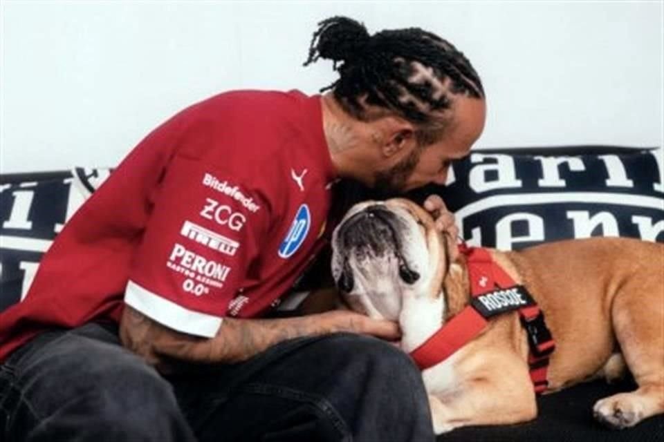 Lewis Hamilton expresó que tomar la decisión de dormir a Roscoe fue una de las experiencias más dolorosas de su vida.