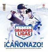 grandes ligas 2024