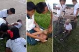 articulo relacionado