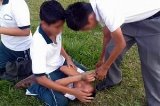 articulo relacionado